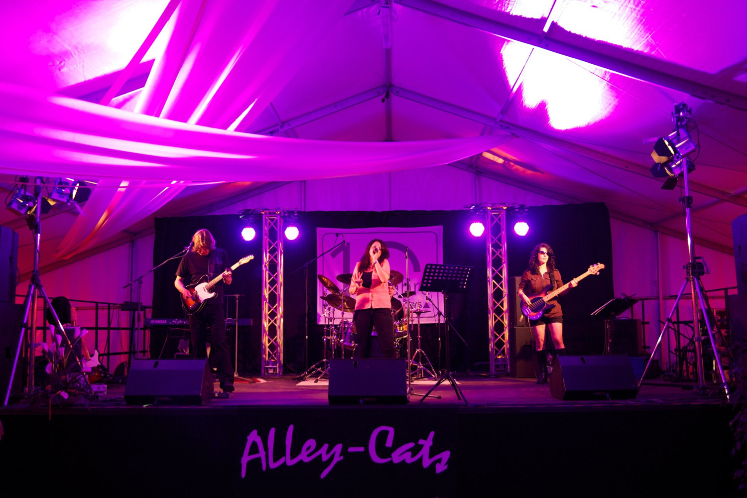 Die AlleyCats auf dem 10-jährigen Jubiläum der Firma ACSYS